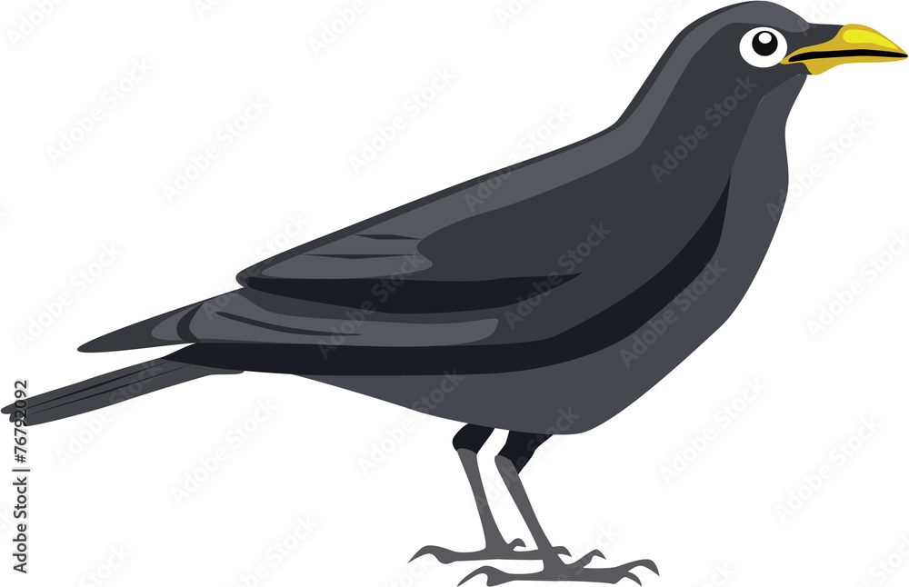 Obraz premium cute black crow cartoon vector
