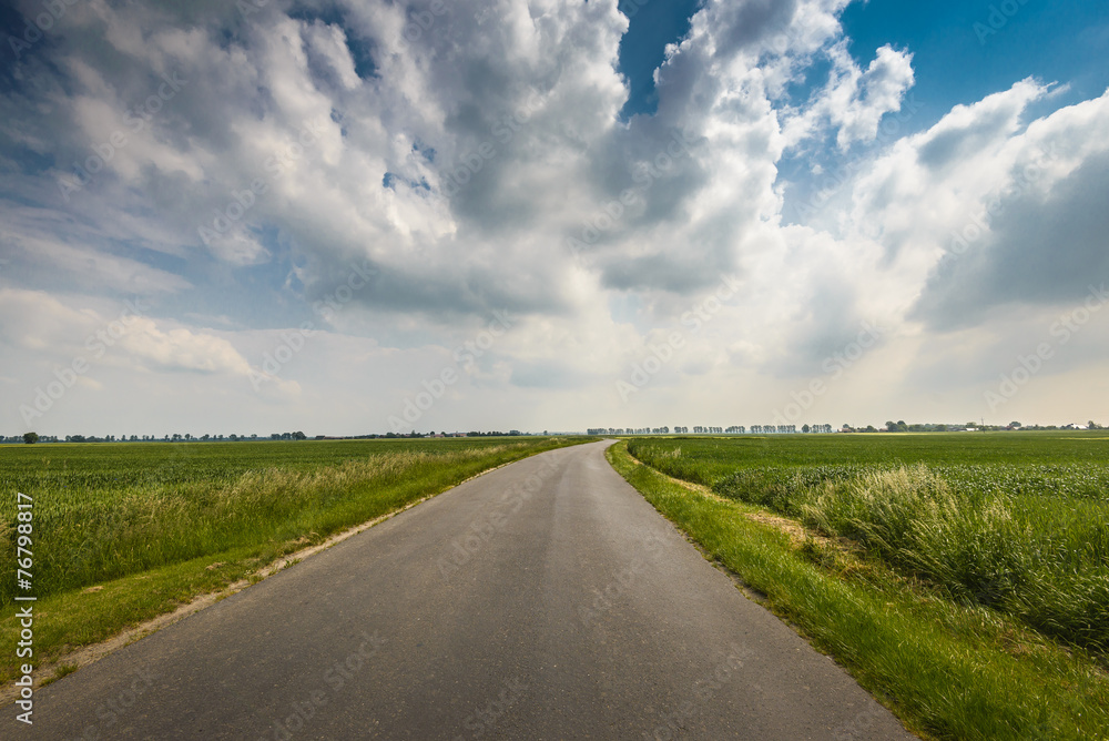 Summera landscape with road