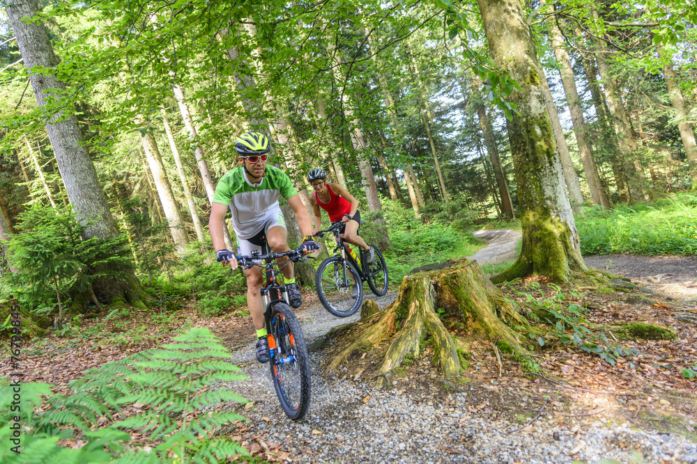 Obraz premium Eine Tour mit dem Mountainbike im Wald