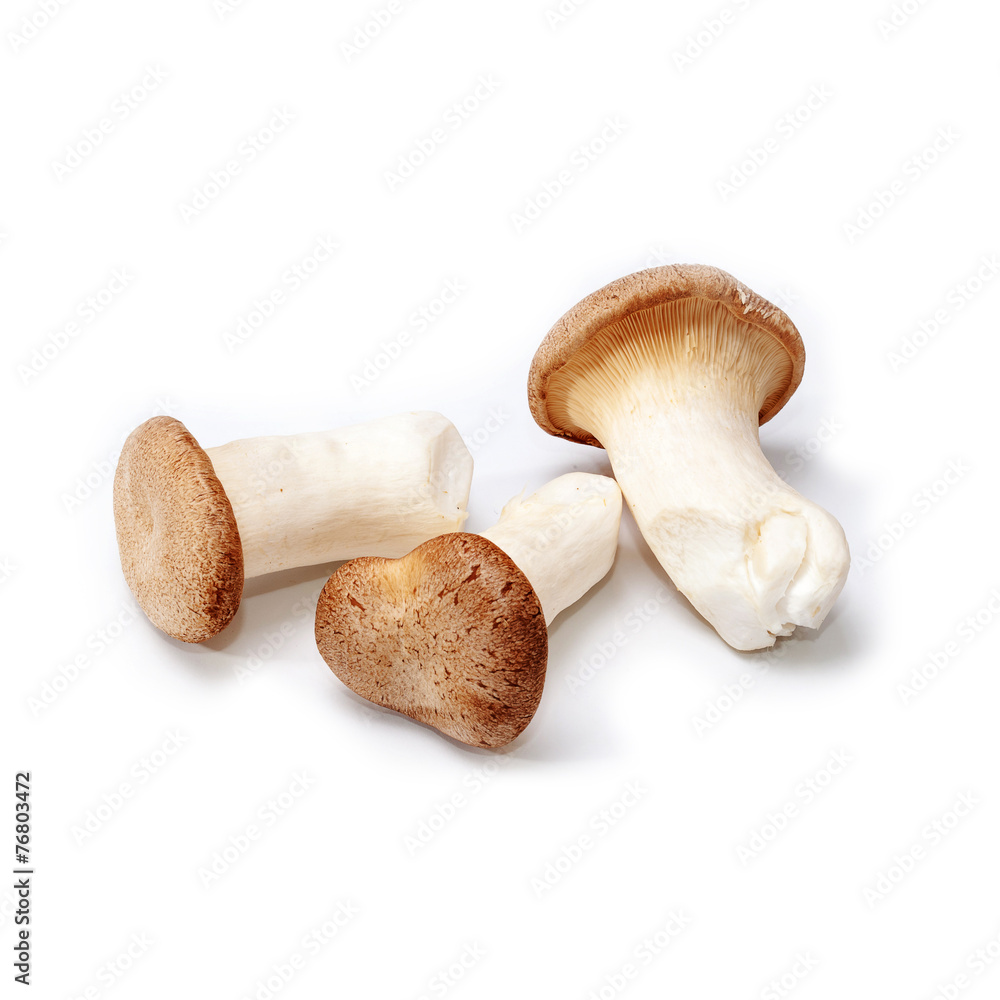 King Oyster mushroom (Eringi) isolated on white backgroud. King Oyster mushroom (Eringi) isolated on white backgroud.