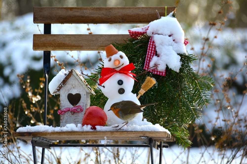 Obraz premium Garten im Winter