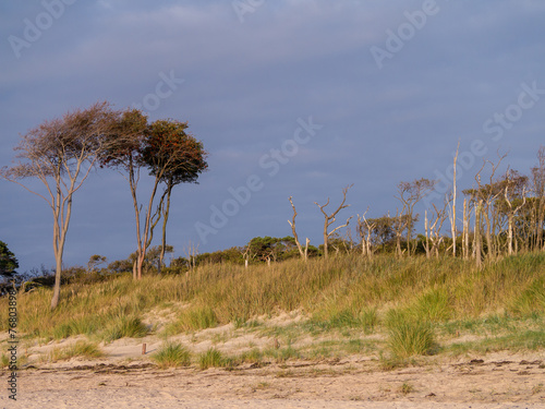 Sonnenuntergang am Weststrand auf Darss photo