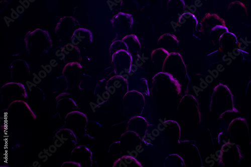 Canvas Print audience silhouette