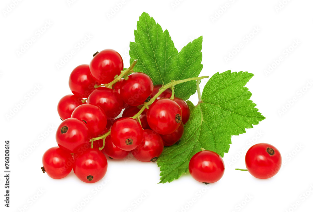 One bunch of ripe redcurrant with green leaves (isolated)
