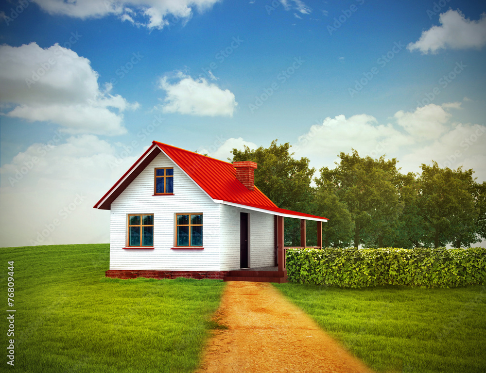Fototapeta premium house on the green lawn