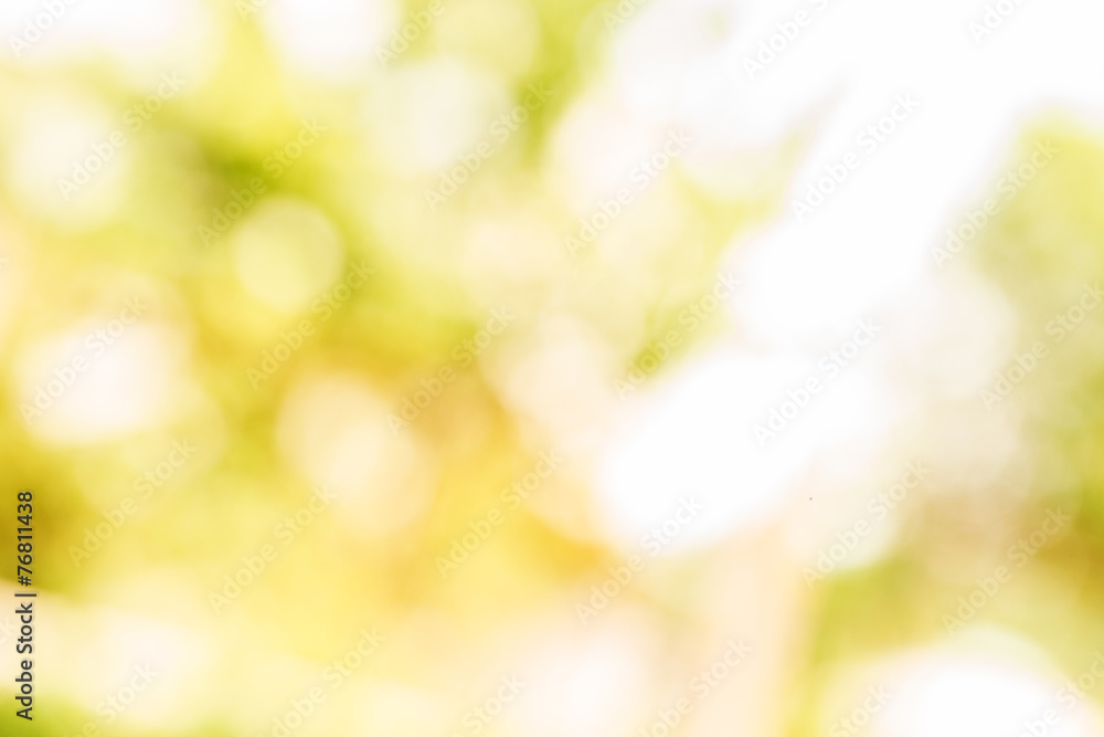 green leaves bokeh green leaves bokeh