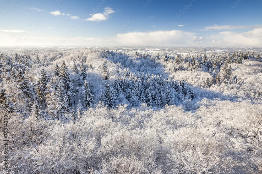 The observation tower on a hill in the winter forest