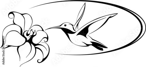 bird hummingbirds over a flower, tropical wildlife, stylization,