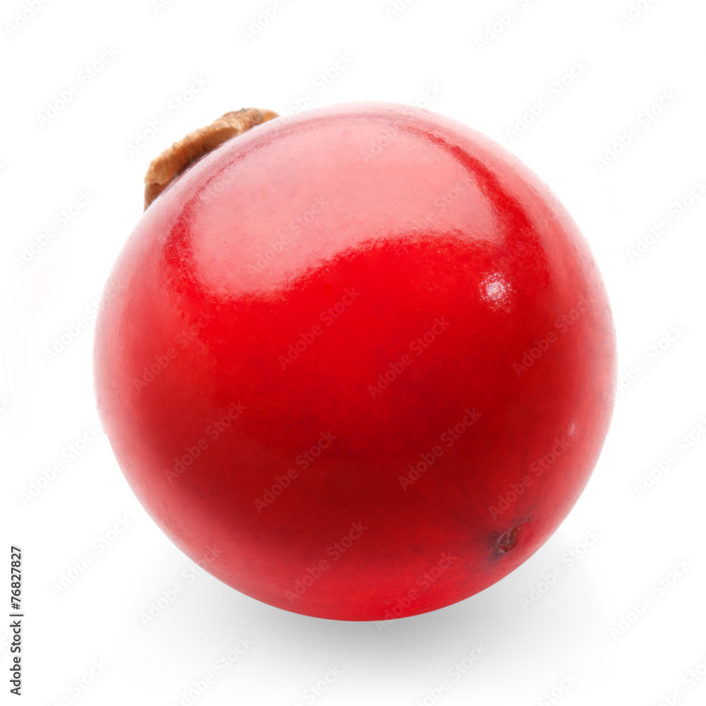 Obraz premium red currant on white background