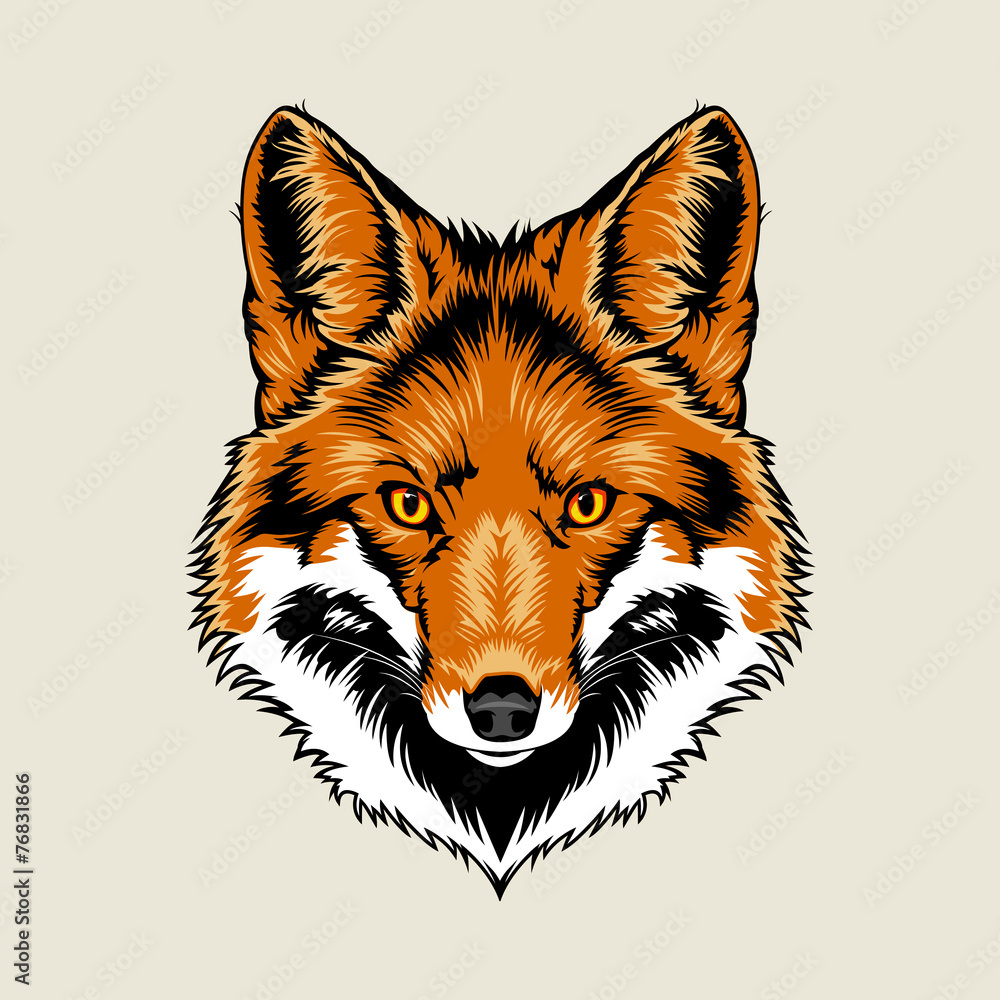 Fototapeta premium Głowa lisa rudego