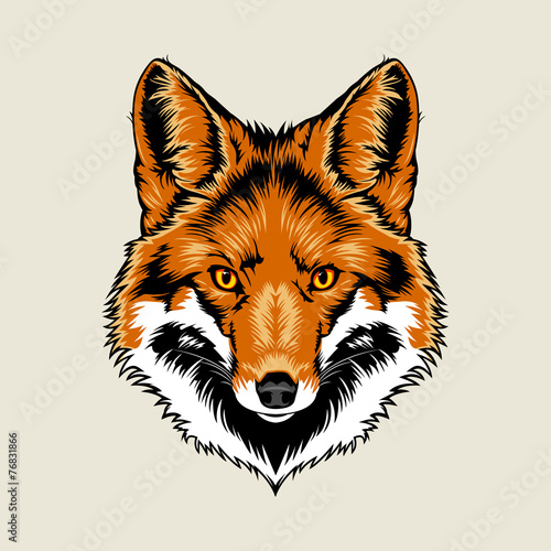 Red Fox Head