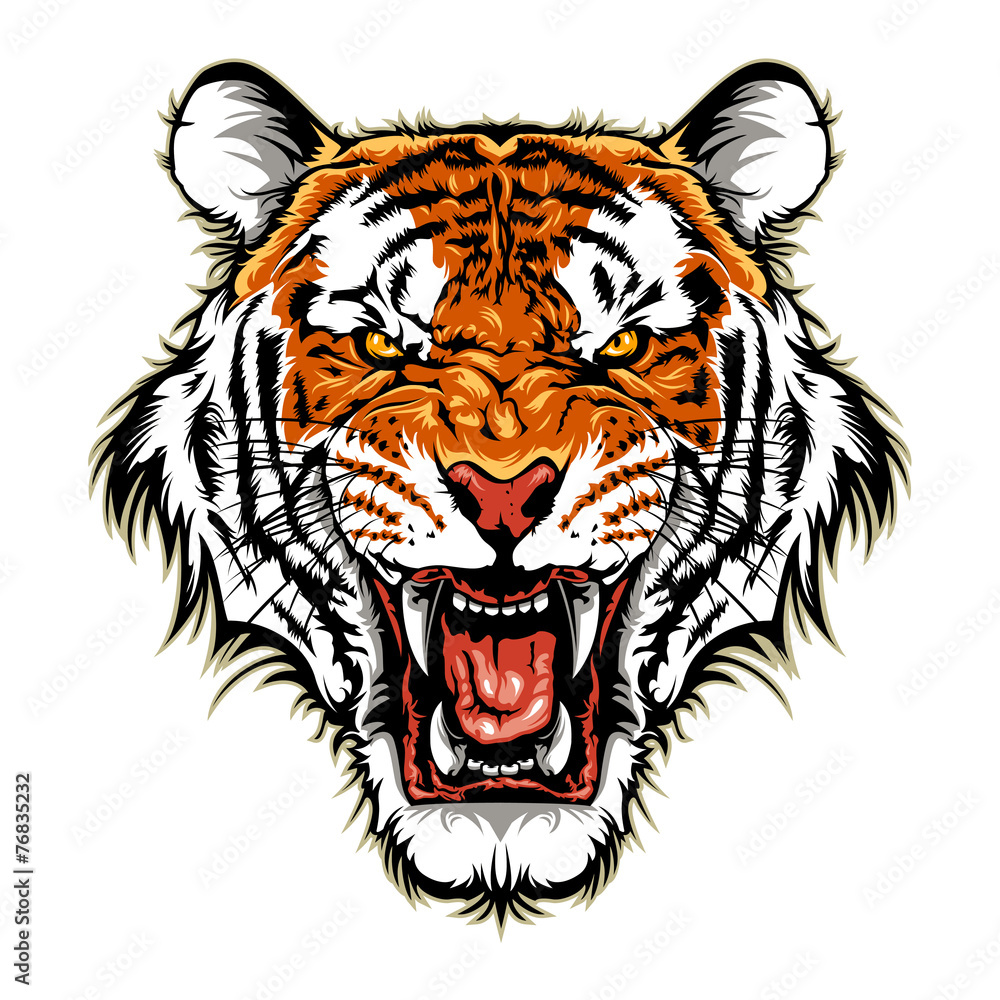 Obraz premium Tiger Head