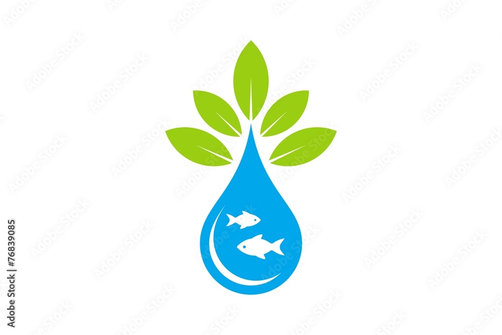 aquascape aquascape