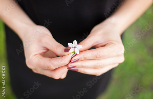 Woman hand with a spring blossom. Sakura flower