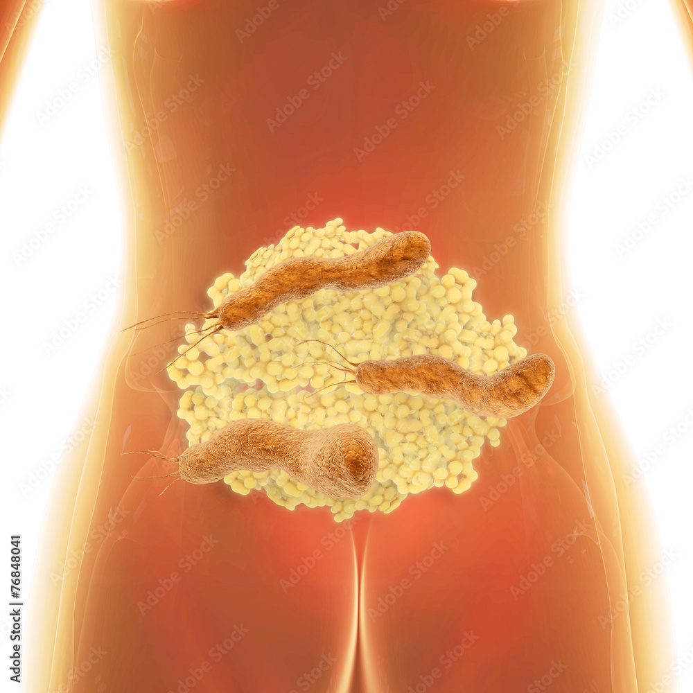 Helicobacter 3d Render StockIllustration Adobe Stock