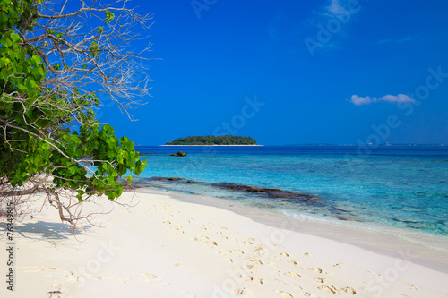 Tropical island with sandy beach, palm trees and blue ocean