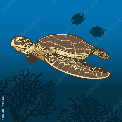 Fototapeta Naklejka Na Ścianę i Meble -  Funny cartoon sea turtle. Vector illustration