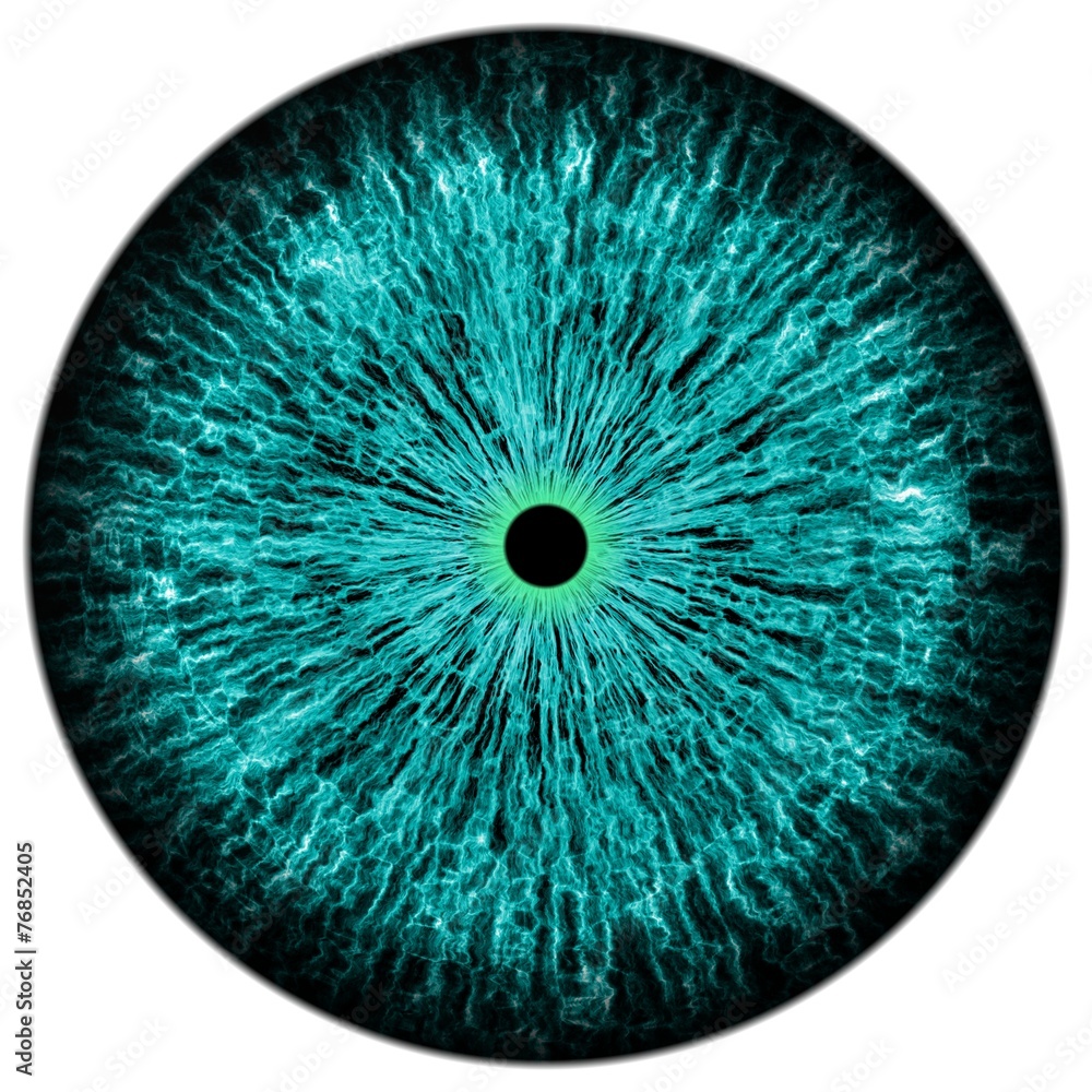 Obraz premium Animal eye with contrast colored iris