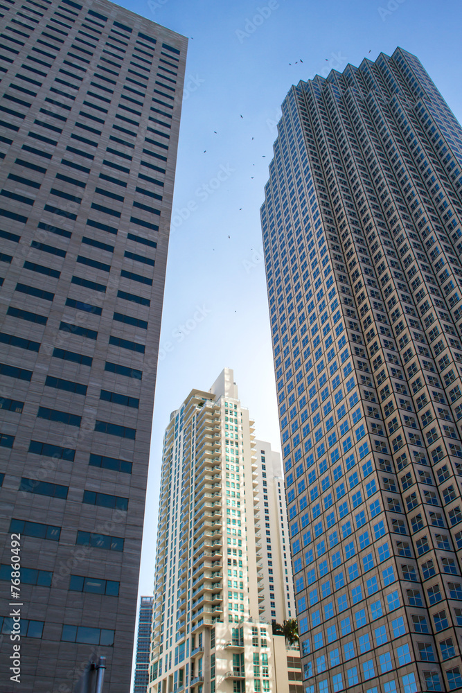 Downtown of Miami.