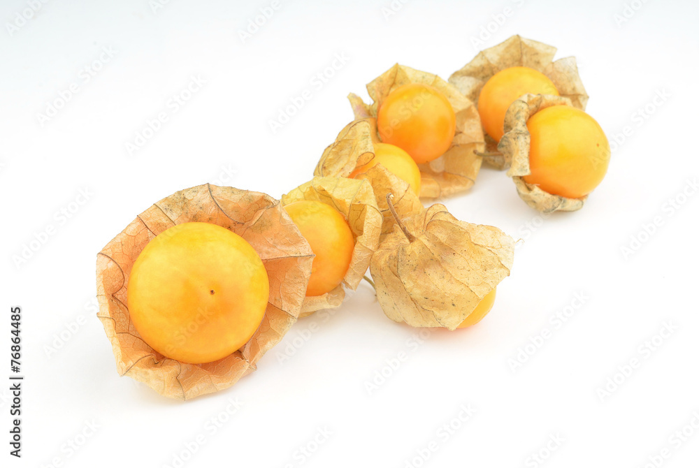 cape gooseberry on white background cape gooseberry on white background