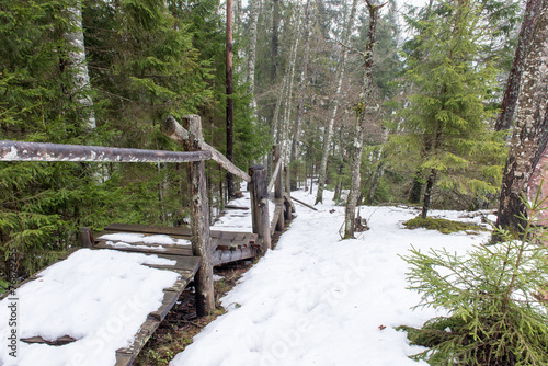 tourist trail in winter forest