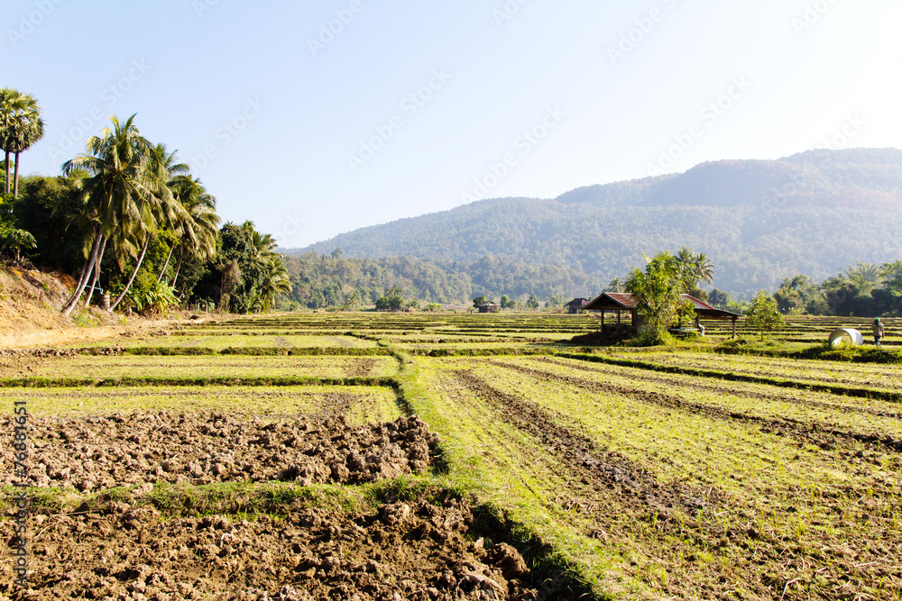 Rural field at pai district, Mae Hong Son Province,Thailand.