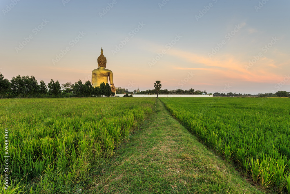 Big golden buddha statue in Thailand