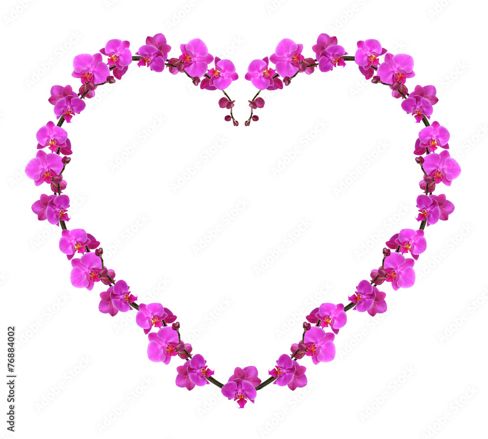 Beautiful flowers in shape of heart isolated on white Beautiful flowers in shape of heart isolated on white