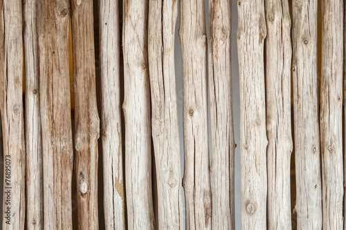 Wood log background textured