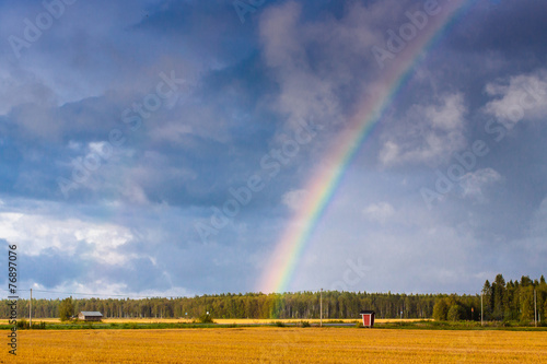 Autumn In The Fields 1