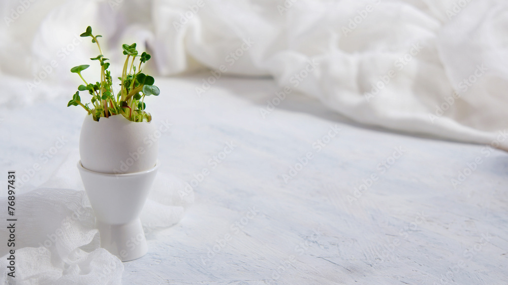 Fototapeta premium watercress salad and in eggshells - Easter card