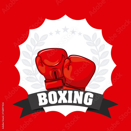 boxing sport