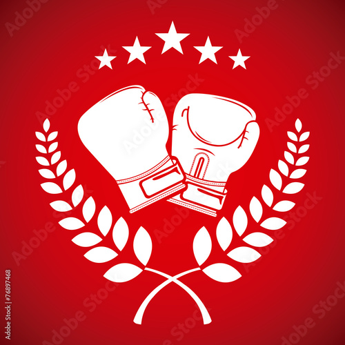 boxing sport