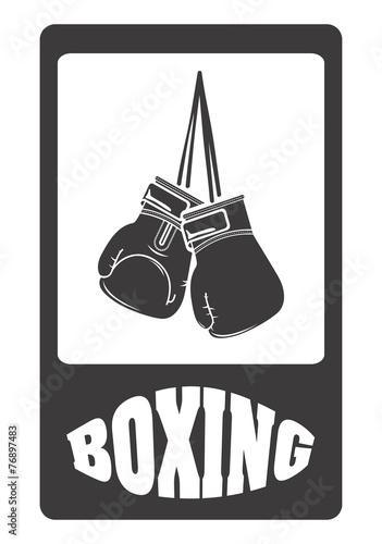 boxing sport