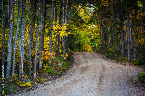Canvas Print Autumn color along a dirt road in White Mountain National Forest