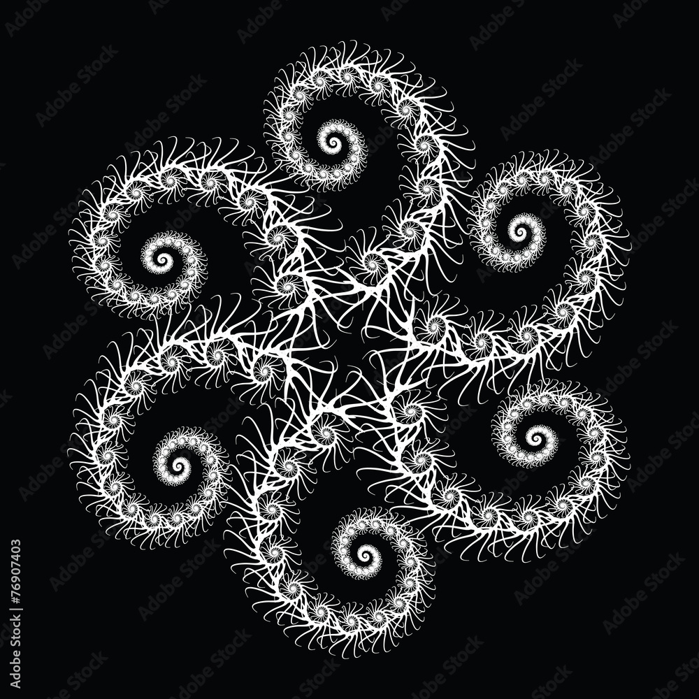 Spiral Star Spiral Star