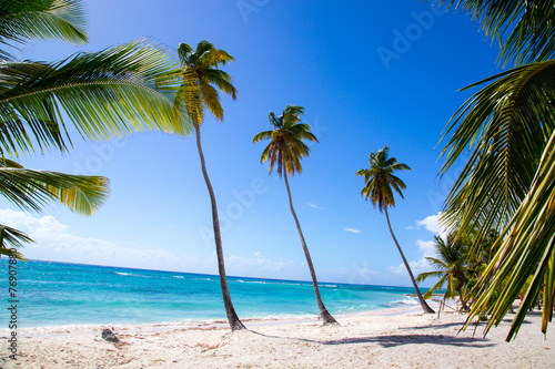 Palmen am Strand von Isla Saona. © wsf-f