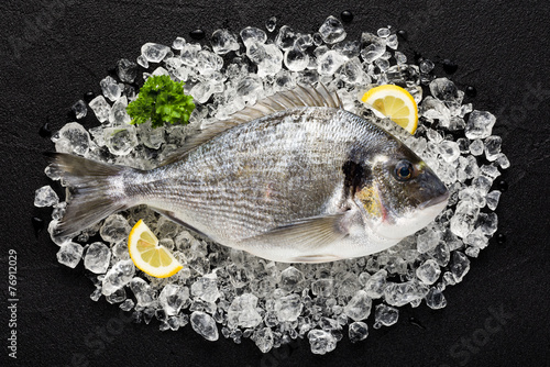 Photography Fresh dorado fish on ice on a black stone table top view