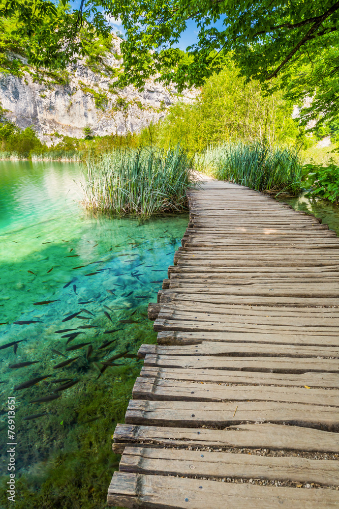 Fototapeta premium Chodnik # 08, Plitvicer Lakes NP, Chorwacja