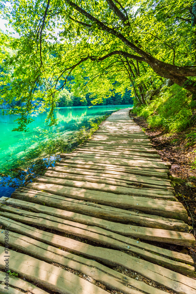 Fototapeta premium Chodnik # 10, Plitvice Lakes NP, Chorwacja
