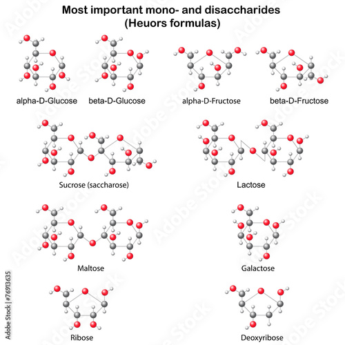 Chemical structural models of main mono- and disaccharides