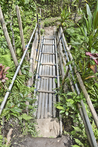 Tegalalang  ponte di bamb  