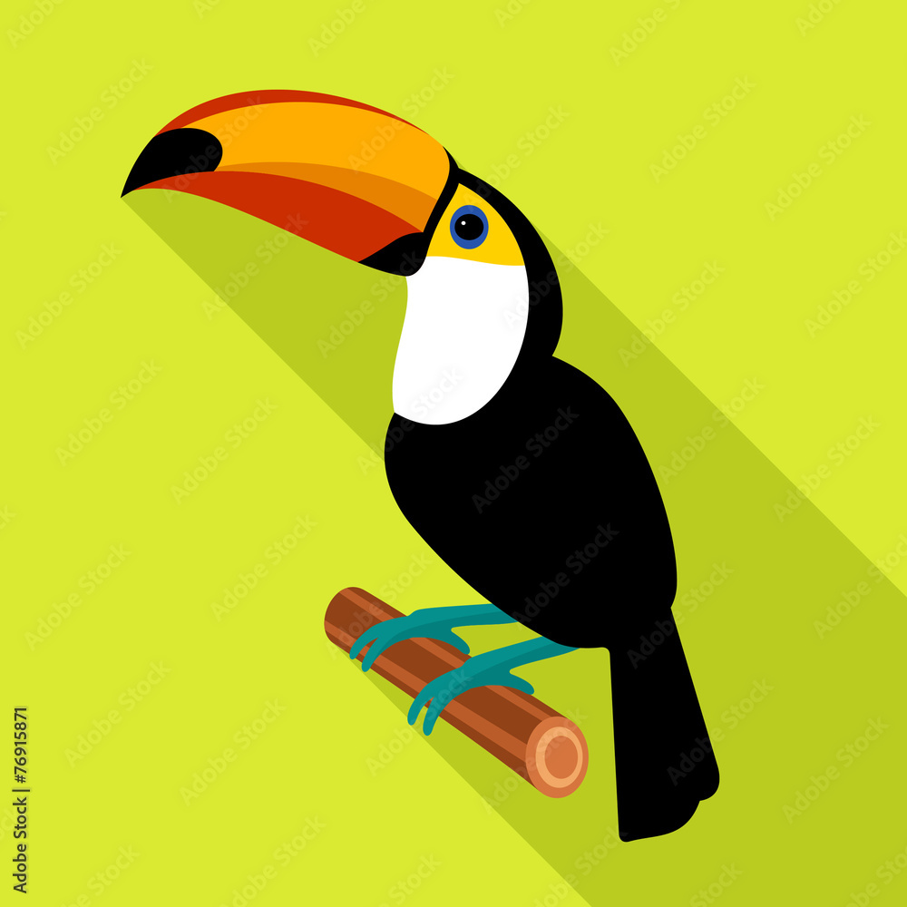 Obraz premium Toucan icon