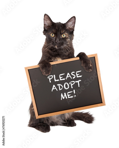 Black Kitten Holding Adopt Me Sign