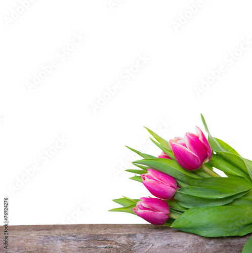 Tulpen Karte Strauß