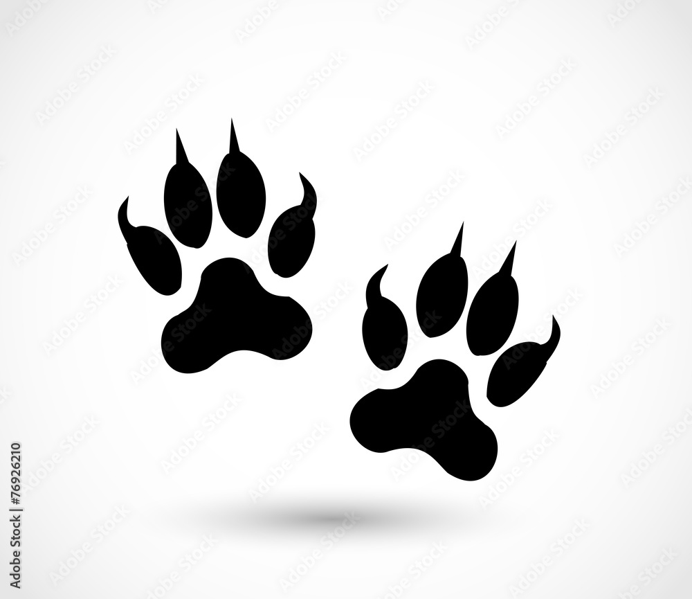 Animal footprint - cat vector Animal footprint - cat vector