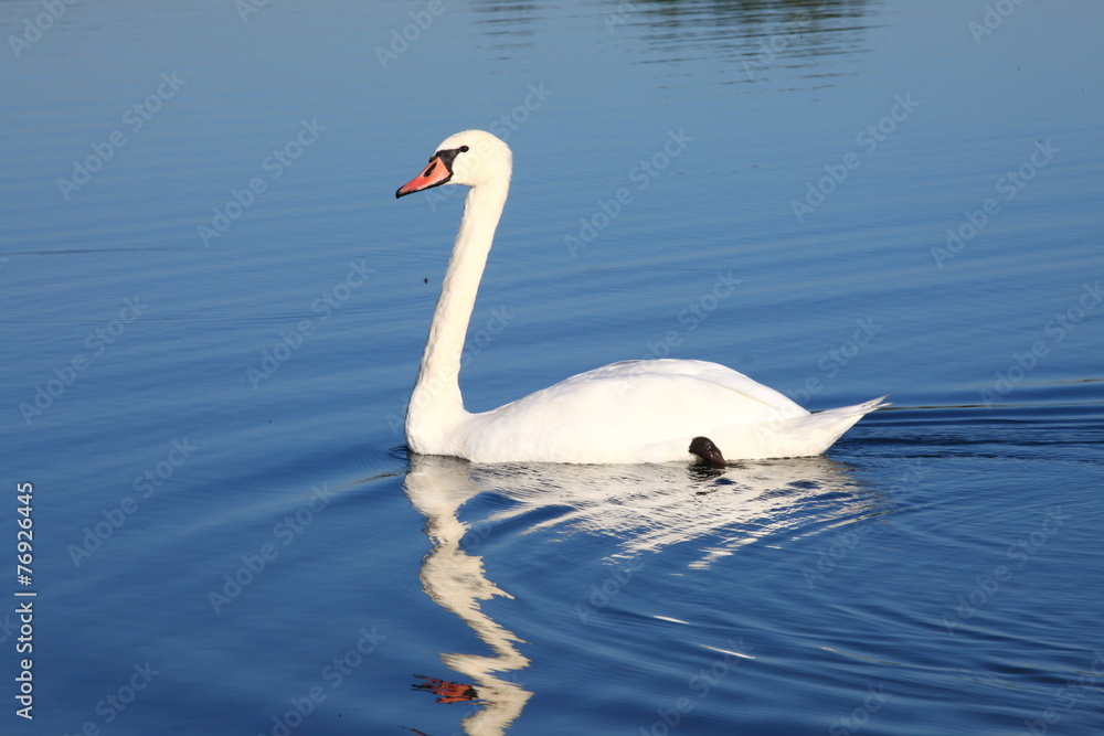 Fototapeta premium Unberührte Wildnis