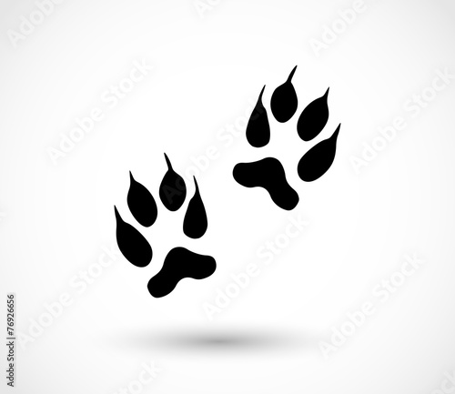 Animal footprint - fox vector