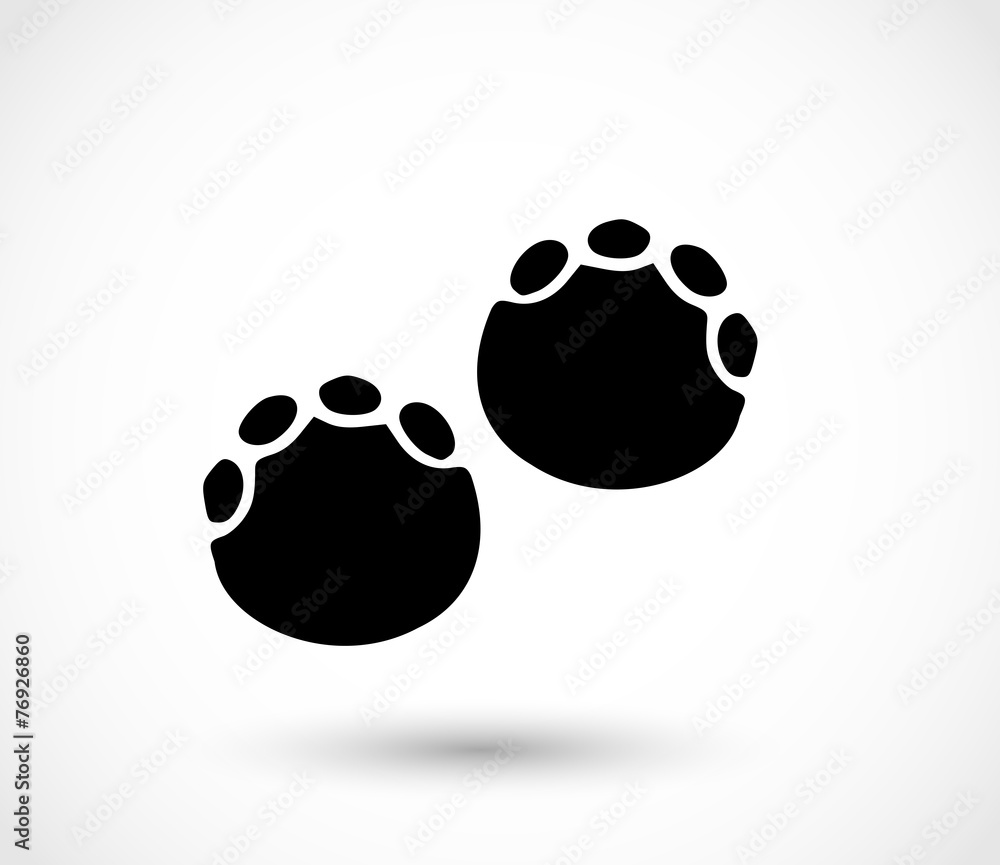 Obraz premium Elephant footprint, paw print vector