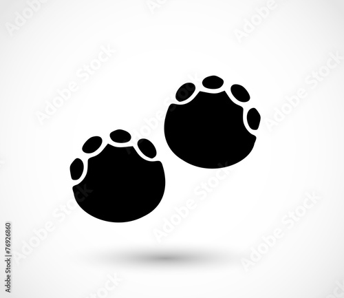 Elephant footprint, paw print vector